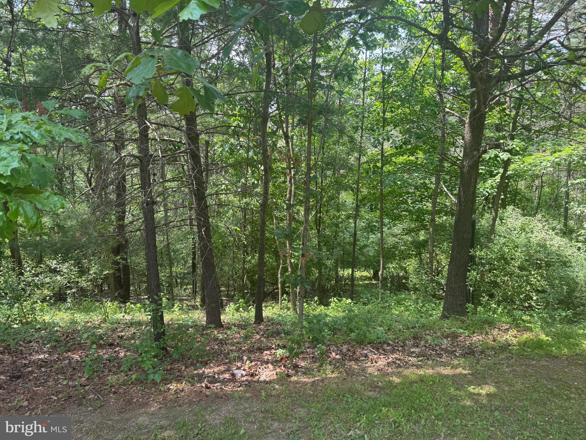 4242 Camp Reed Lane Petersburg, PA 16669 - Photo 75 of 83