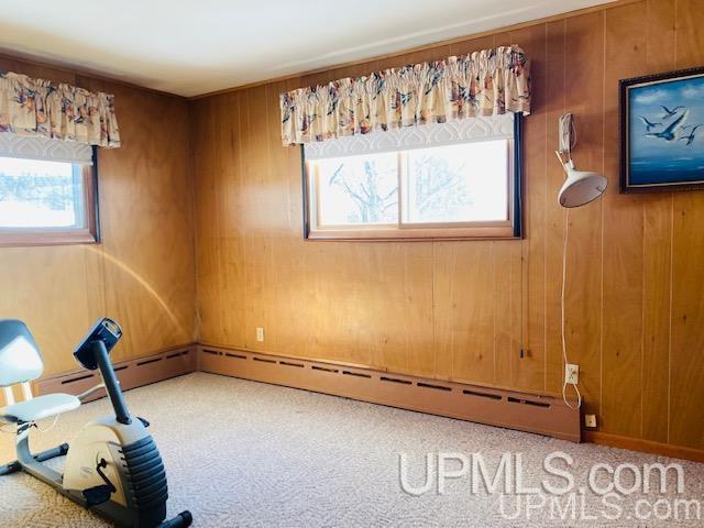 120 North Marigold Street Ishpeming, MI 49849 - Photo 22 of 30 Gallery Image 22