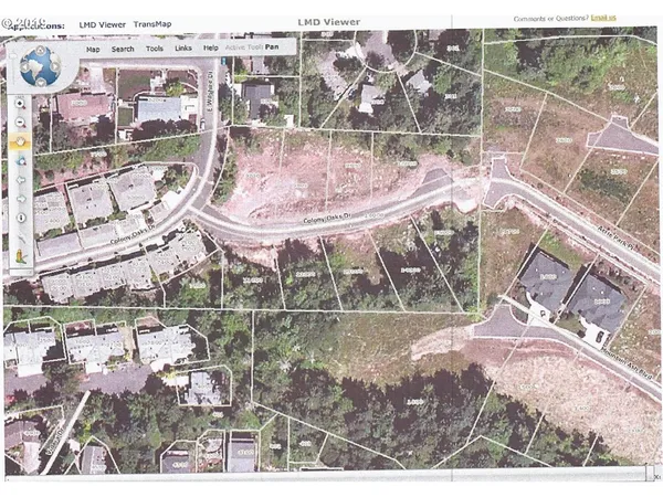 a view of a yard