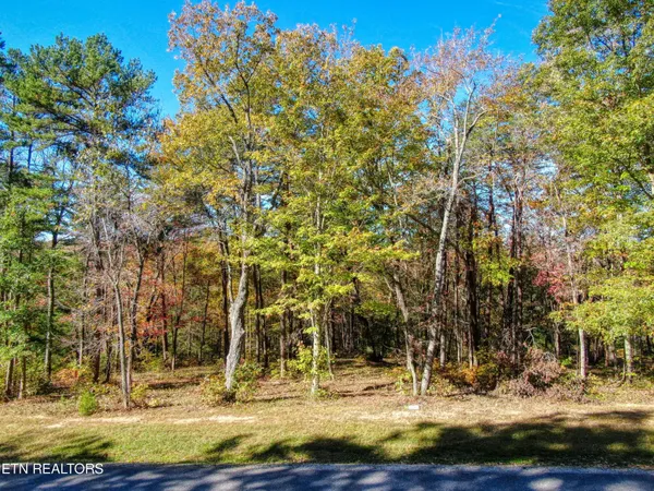 $160,000 | 42 Grandview Way, Jamestown, TN 38556