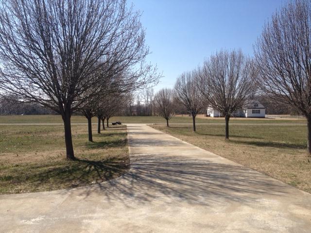 32000 Ardmore Ridge Road Ardmore, TN 38449 - Photo 8 of 9