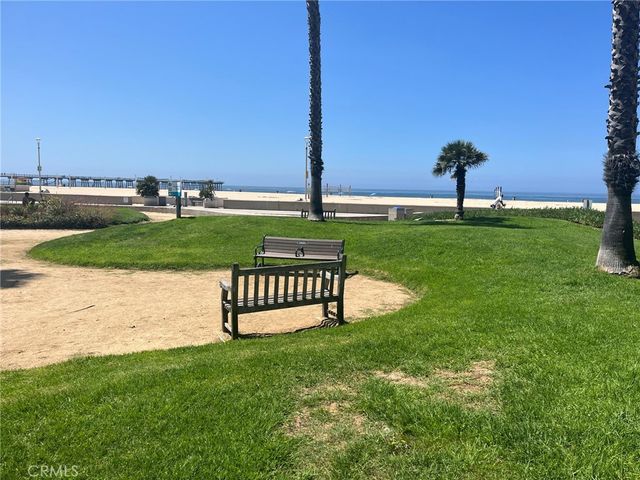 a view of a park with large trees