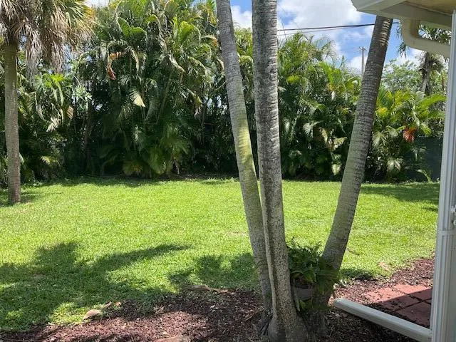 a view of swimming pool from a window