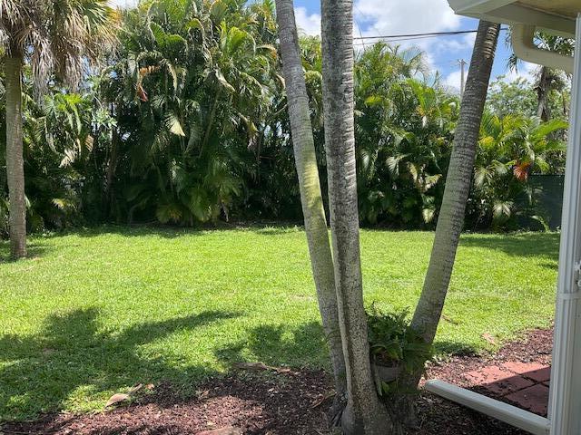 224 Cardinal Lane Delray Beach, FL 33445 - Photo 31 of 38 a view of backyard with large trees and plants