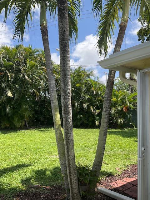 224 Cardinal Lane Delray Beach, FL 33445 - Photo 34 of 38