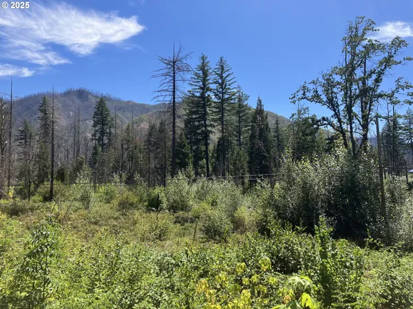 $370,000 | Blue River Drive, Vida, OR 97488