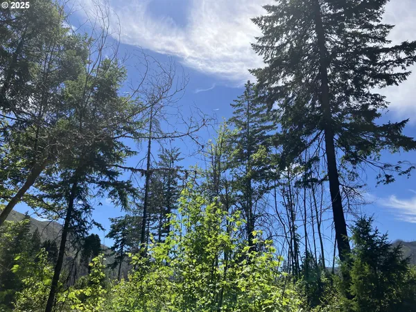 $370,000 | Blue River Drive, Vida, OR 97488