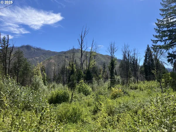 $370,000 | Blue River Drive, Vida, OR 97488