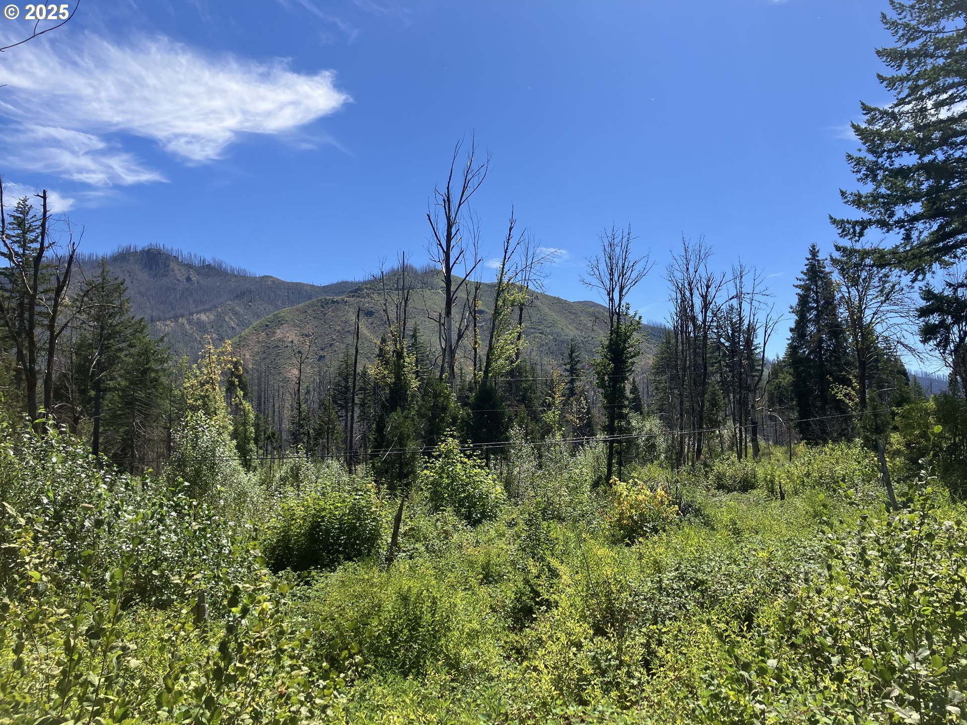 Blue River Drive Vida, OR 97488 - Photo 2 of 15