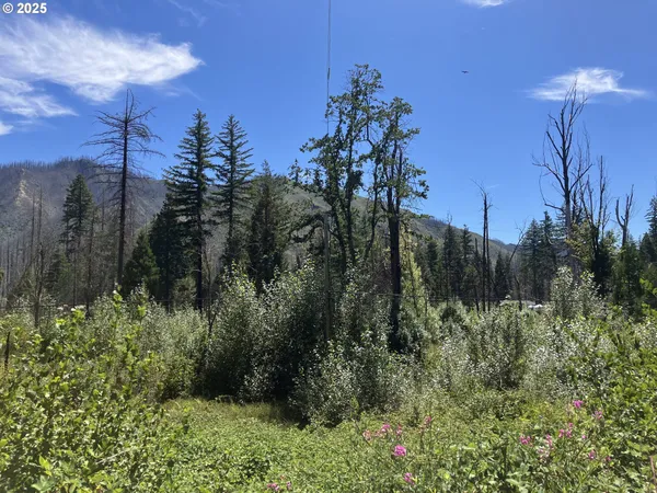 $370,000 | Blue River Drive, Vida, OR 97488