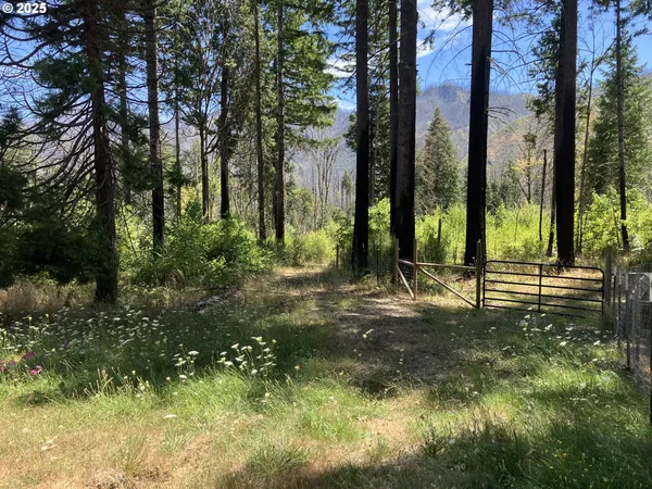 $370,000 | Blue River Drive, Vida, OR 97488