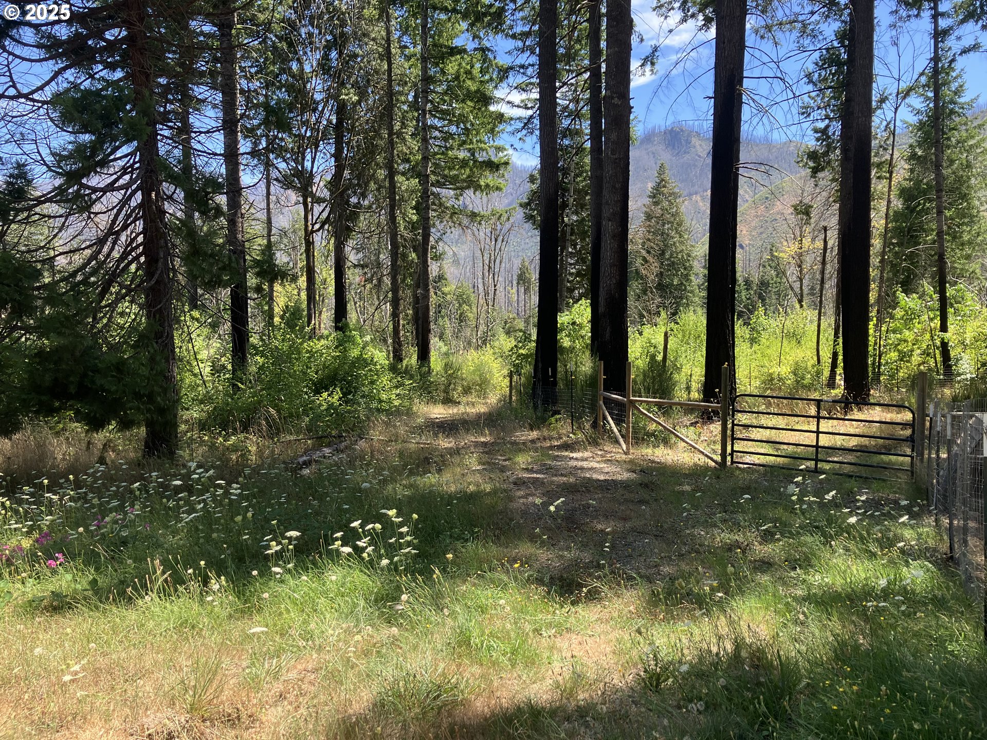 Blue River Drive Vida, OR 97488 - Photo 4 of 15