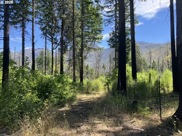 $370,000 | Blue River Drive, Vida, OR 97488