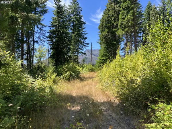 $370,000 | Blue River Drive, Vida, OR 97488