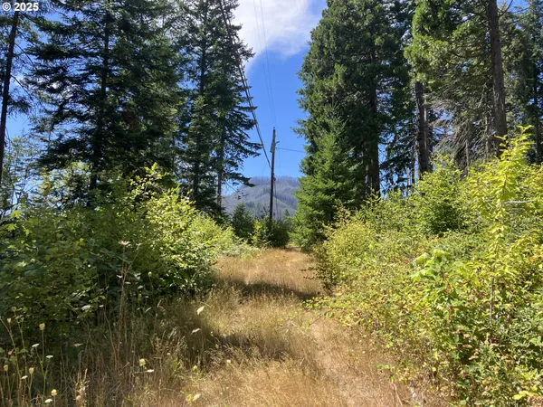 $370,000 | Blue River Drive, Vida, OR 97488