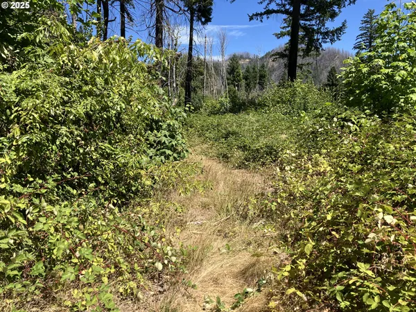 $370,000 | Blue River Drive, Vida, OR 97488