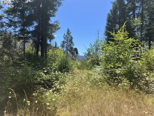 $370,000 | Blue River Drive, Vida, OR 97488