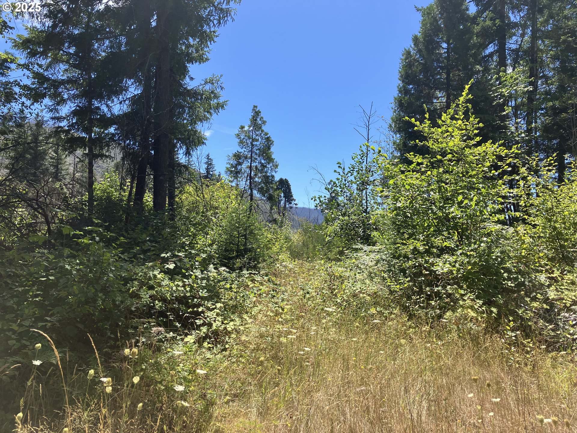 Blue River Drive Vida, OR 97488 - Photo 9 of 15