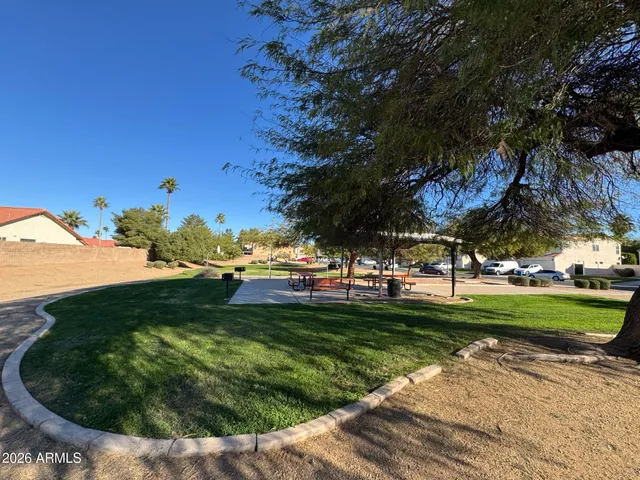 a view of a backyard
