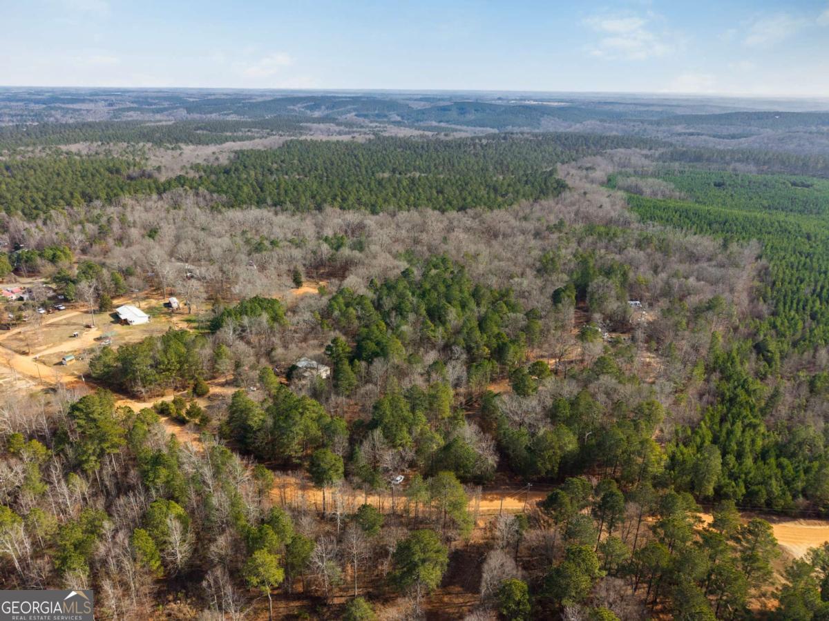 0 Osley Mill Road Comer, GA 30629 - Photo 5 of 10 a view of a field of trees and bushes