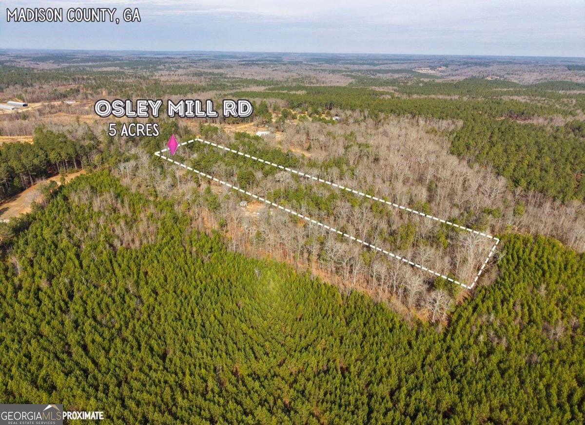 0 Osley Mill Road Comer, GA 30629 - Photo 9 of 10