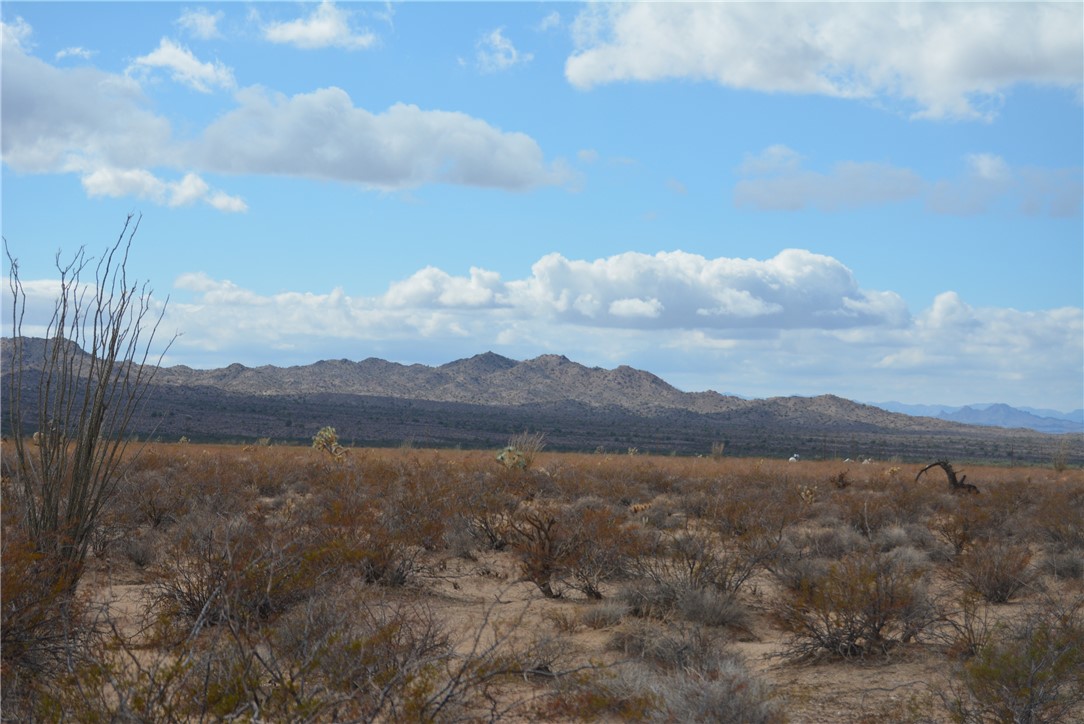 207-35-005 South Arlington Road Yucca, AZ 86438 - Photo 56 of 92
