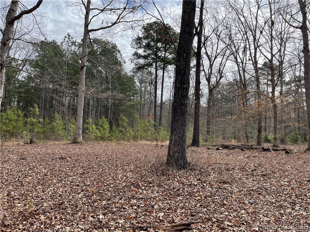 7886 Number 9 Road Gloucester, VA 23061 - Photo 5 of 6