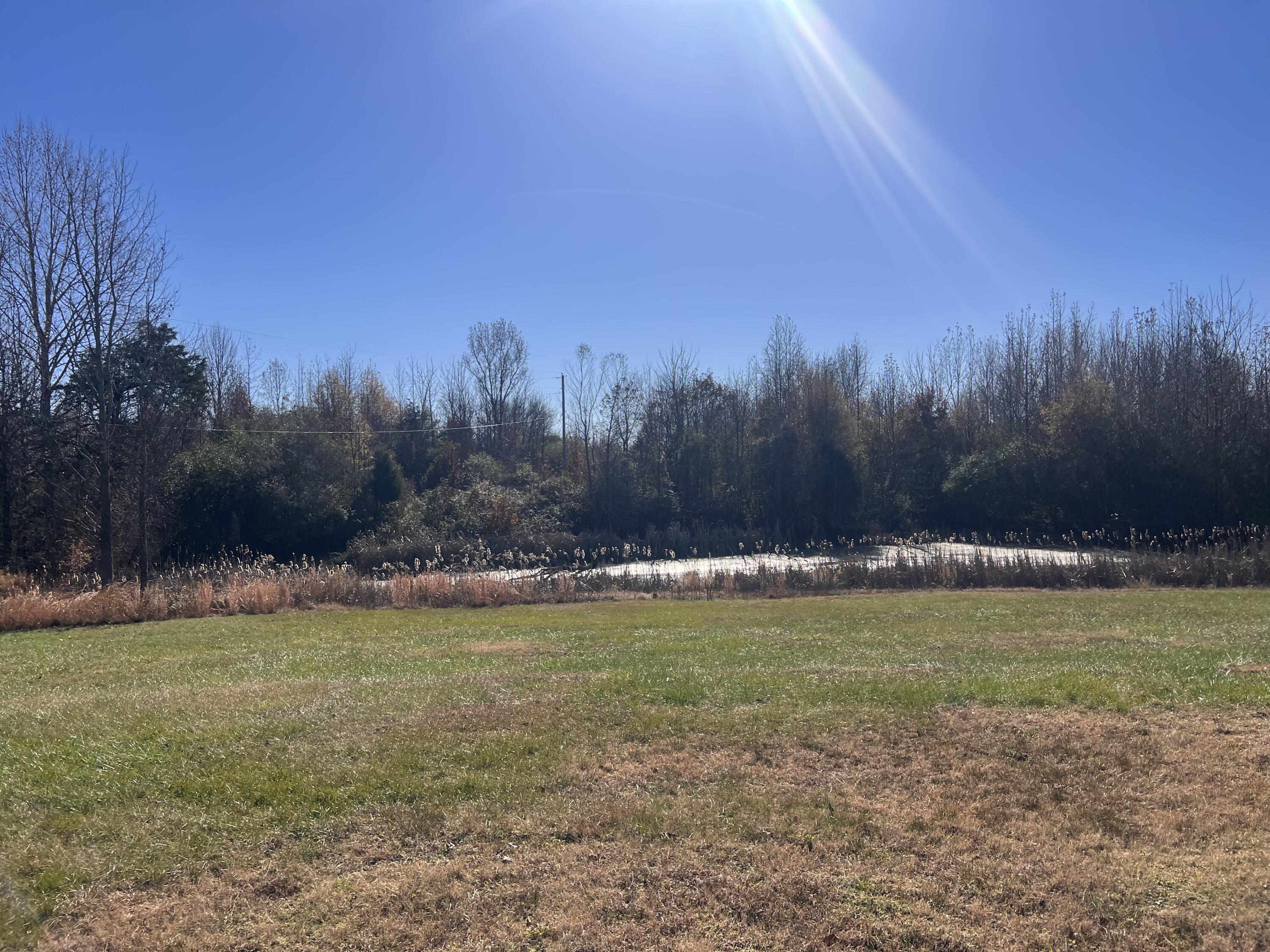 6254 County Road, Unit 155 Higdon, AL 35979 - Photo 5 of 18 A2E1ED1D-273F-4D0B-B88B-A47DE47DB2FF