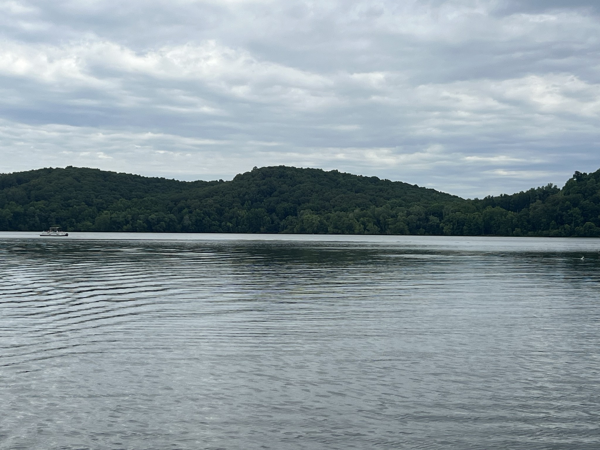 0 Beech Tree Circle Waverly, TN 37185 - Photo 1 of 3 a view of lake