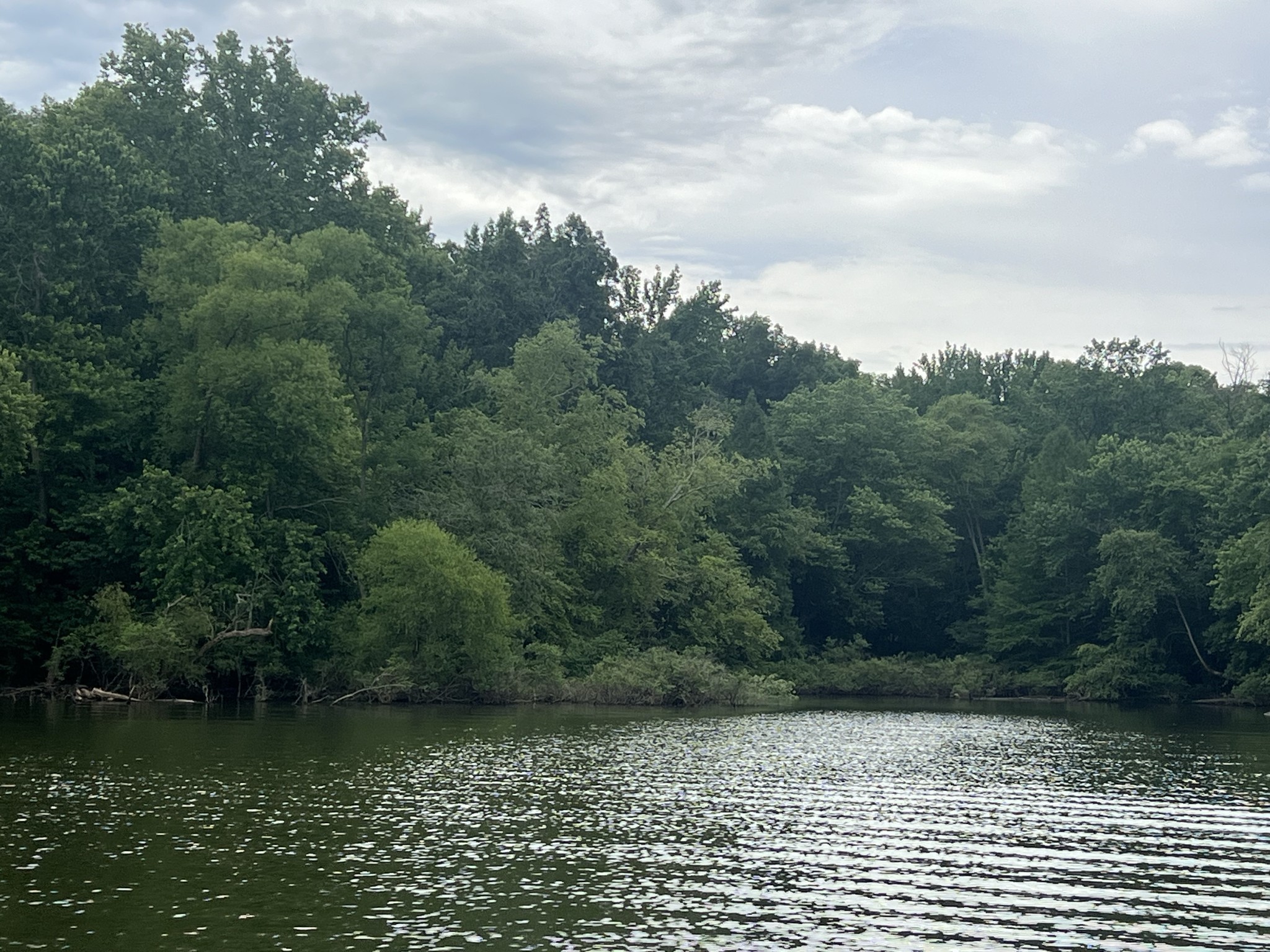 0 Beech Tree Circle Waverly, TN 37185 - Photo 3 of 3 a view of a lake view