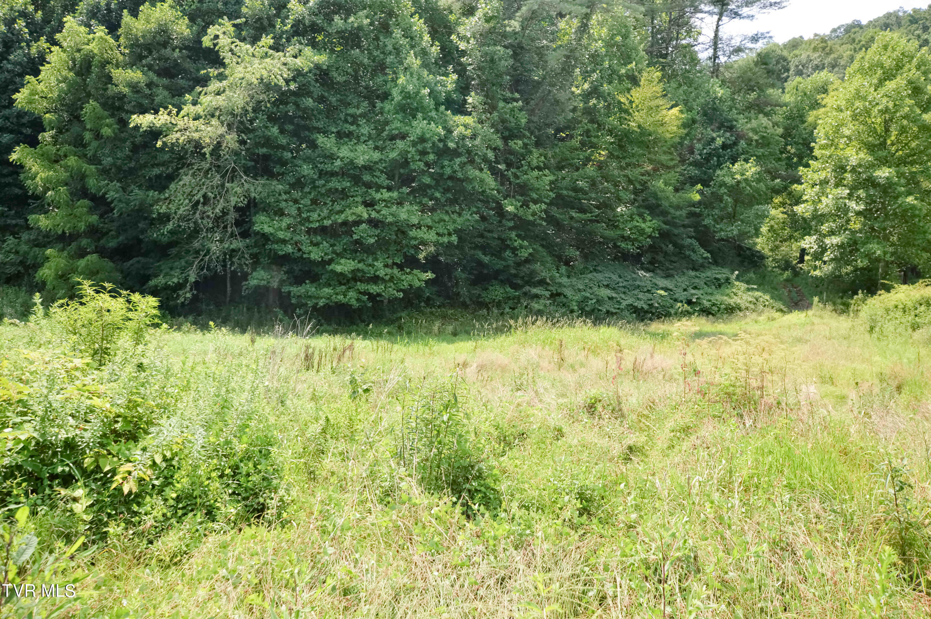 851 Browns Branch Road Hampton, TN 37658 - Photo 1 of 40 851 Browns-40-01
