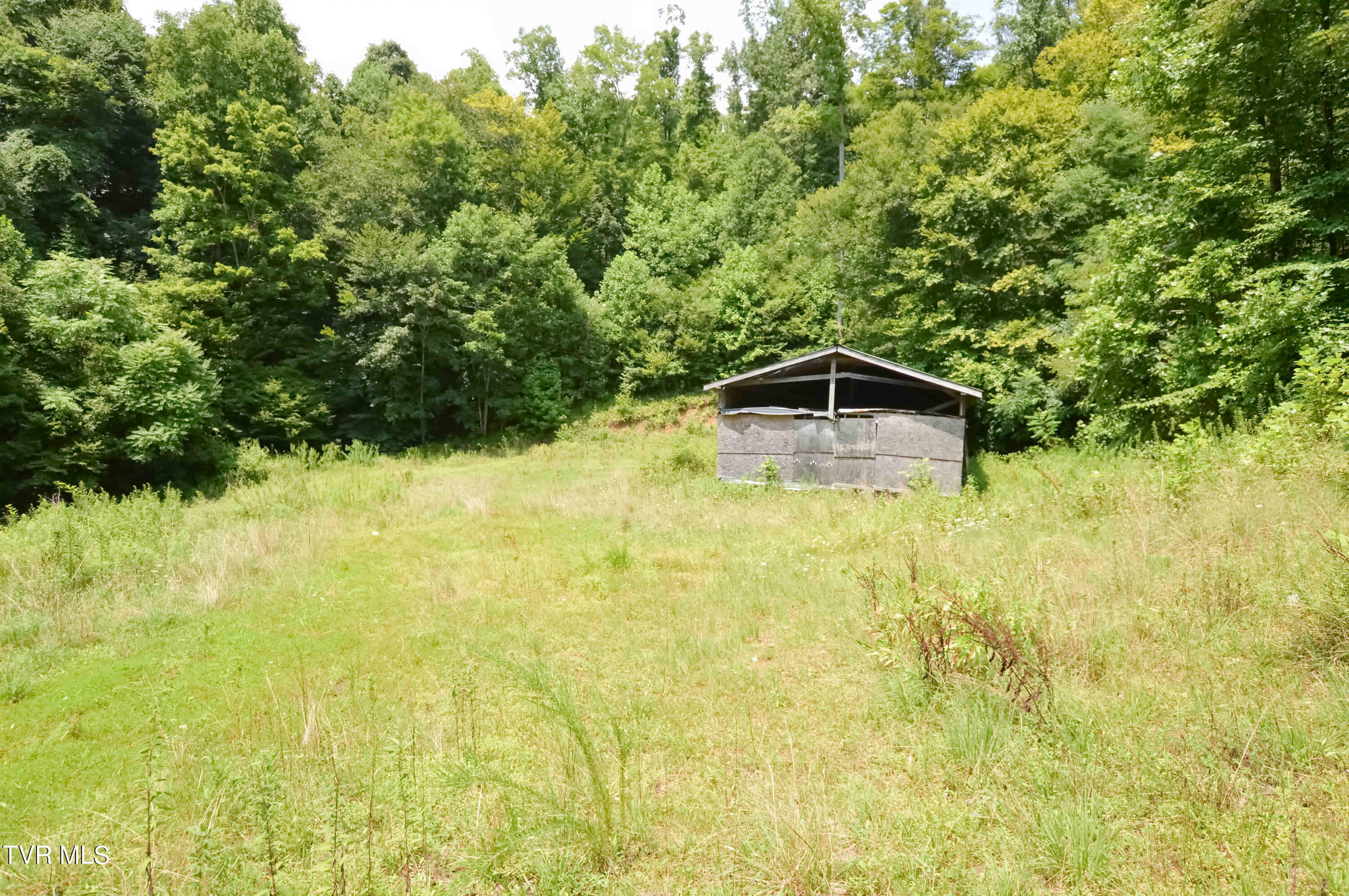 851 Browns Branch Road Hampton, TN 37658 - Photo 19 of 40 851 Browns-17-01