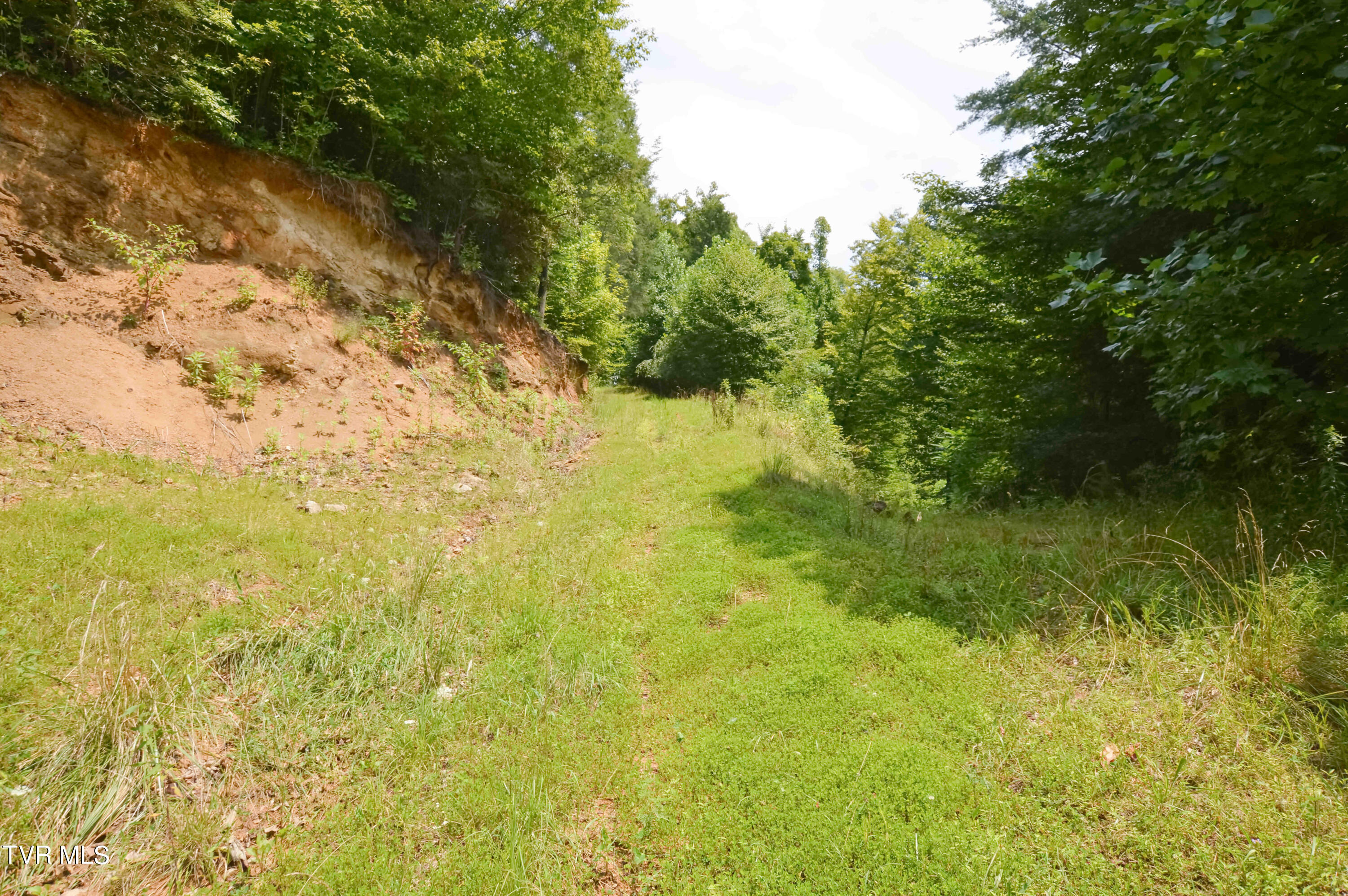 851 Browns Branch Road Hampton, TN 37658 - Photo 20 of 40 851 Browns-18-01