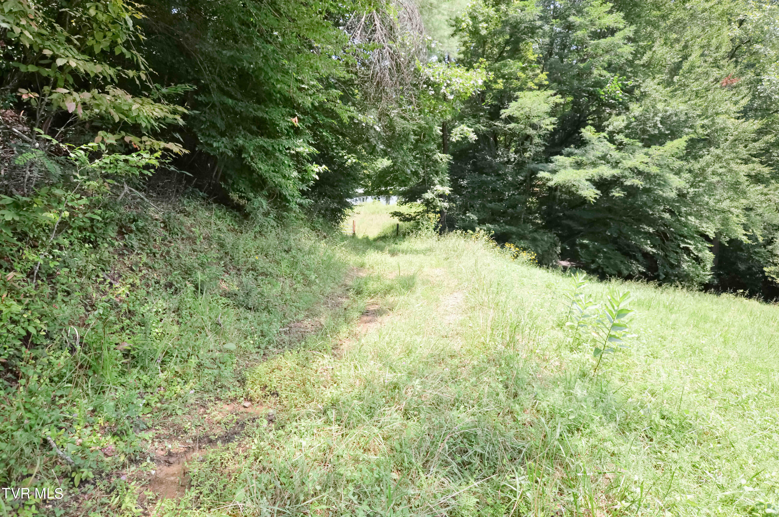 851 Browns Branch Road Hampton, TN 37658 - Photo 2 of 40 851 Browns-2-01