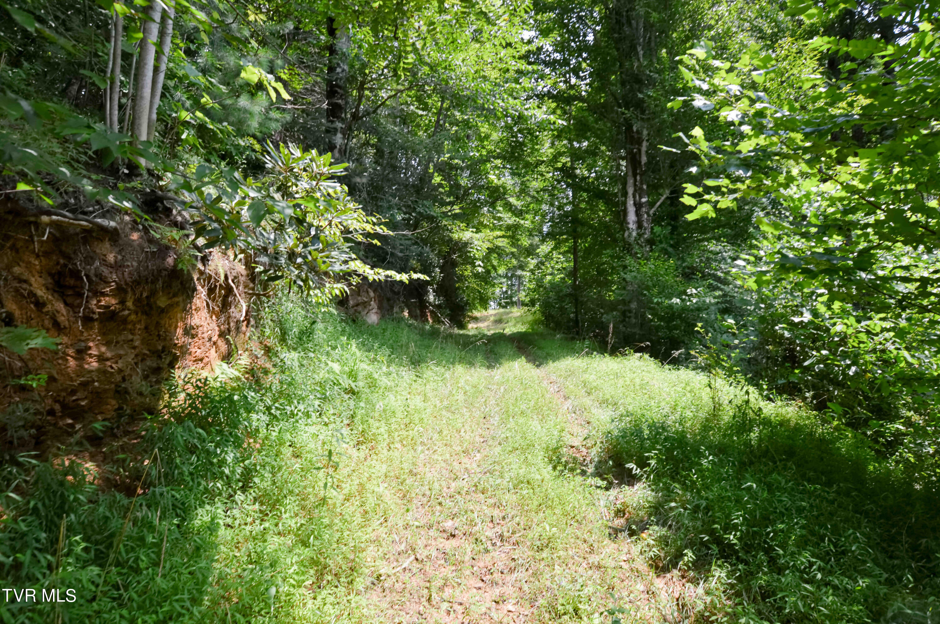 851 Browns Branch Road Hampton, TN 37658 - Photo 21 of 40 851 Browns-19-01