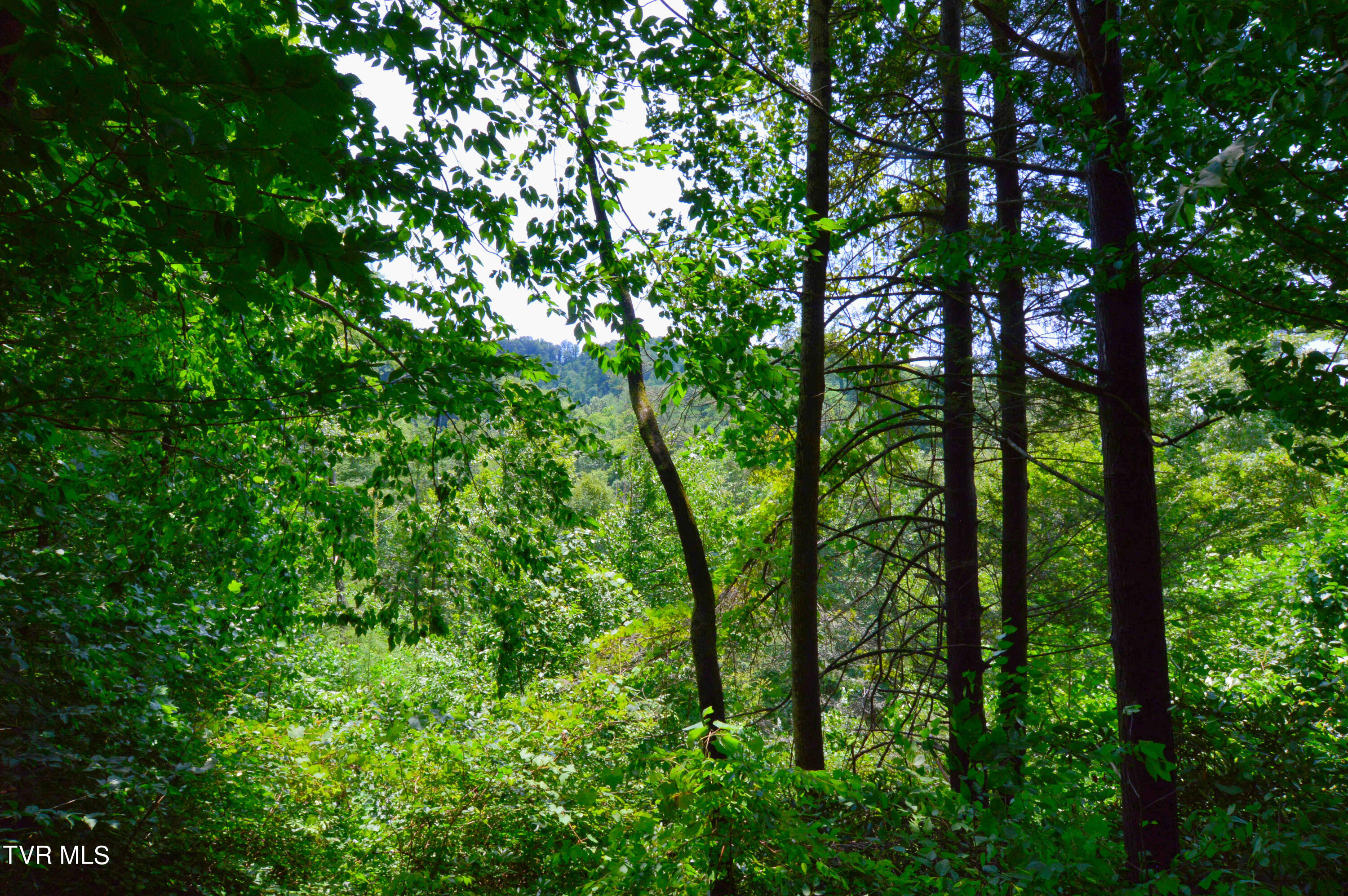 851 Browns Branch Road Hampton, TN 37658 - Photo 22 of 40 851 Browns-20-01