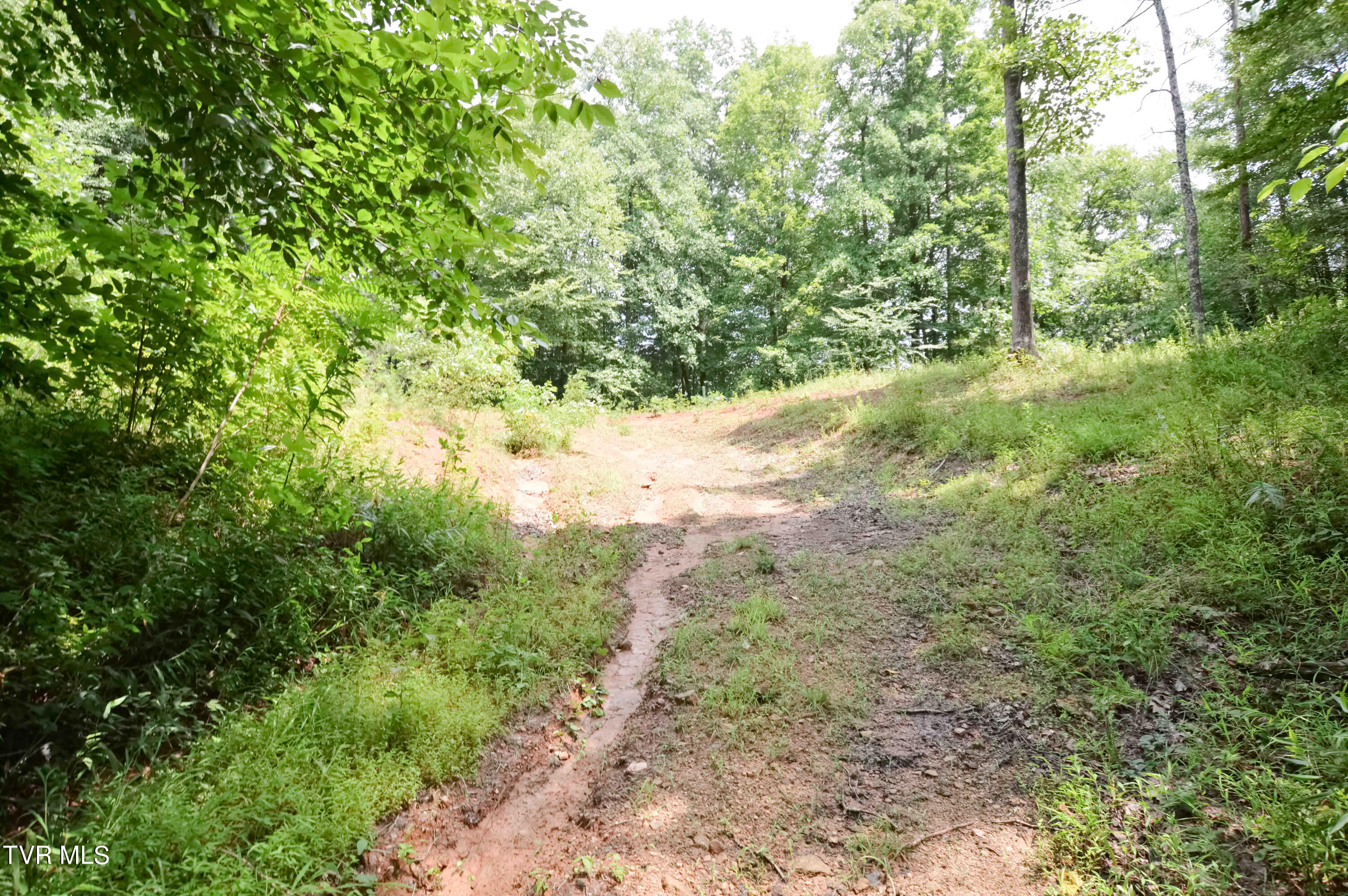 851 Browns Branch Road Hampton, TN 37658 - Photo 23 of 40 851 Browns-21-01