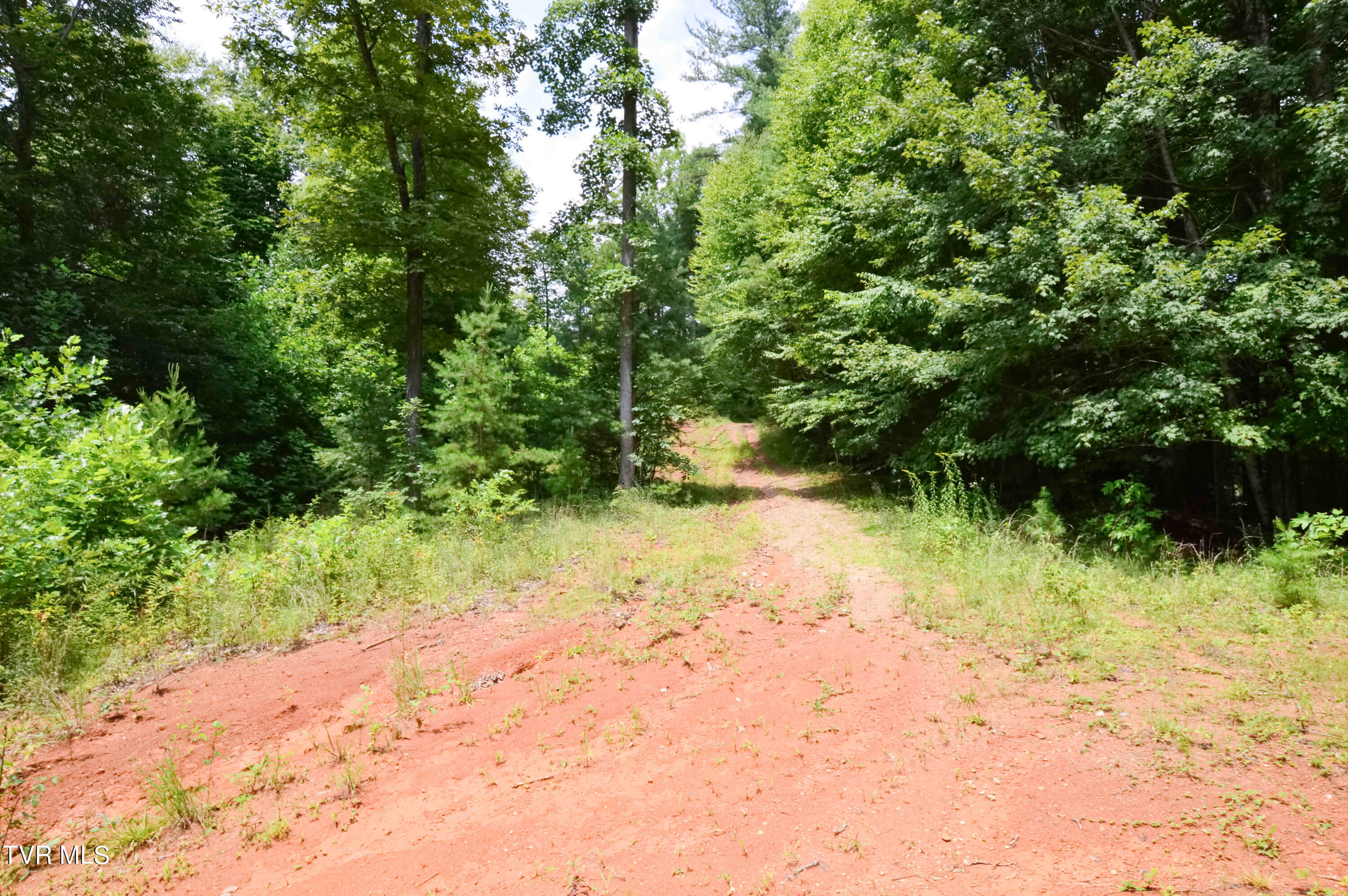 851 Browns Branch Road Hampton, TN 37658 - Photo 24 of 40 851 Browns-23-01