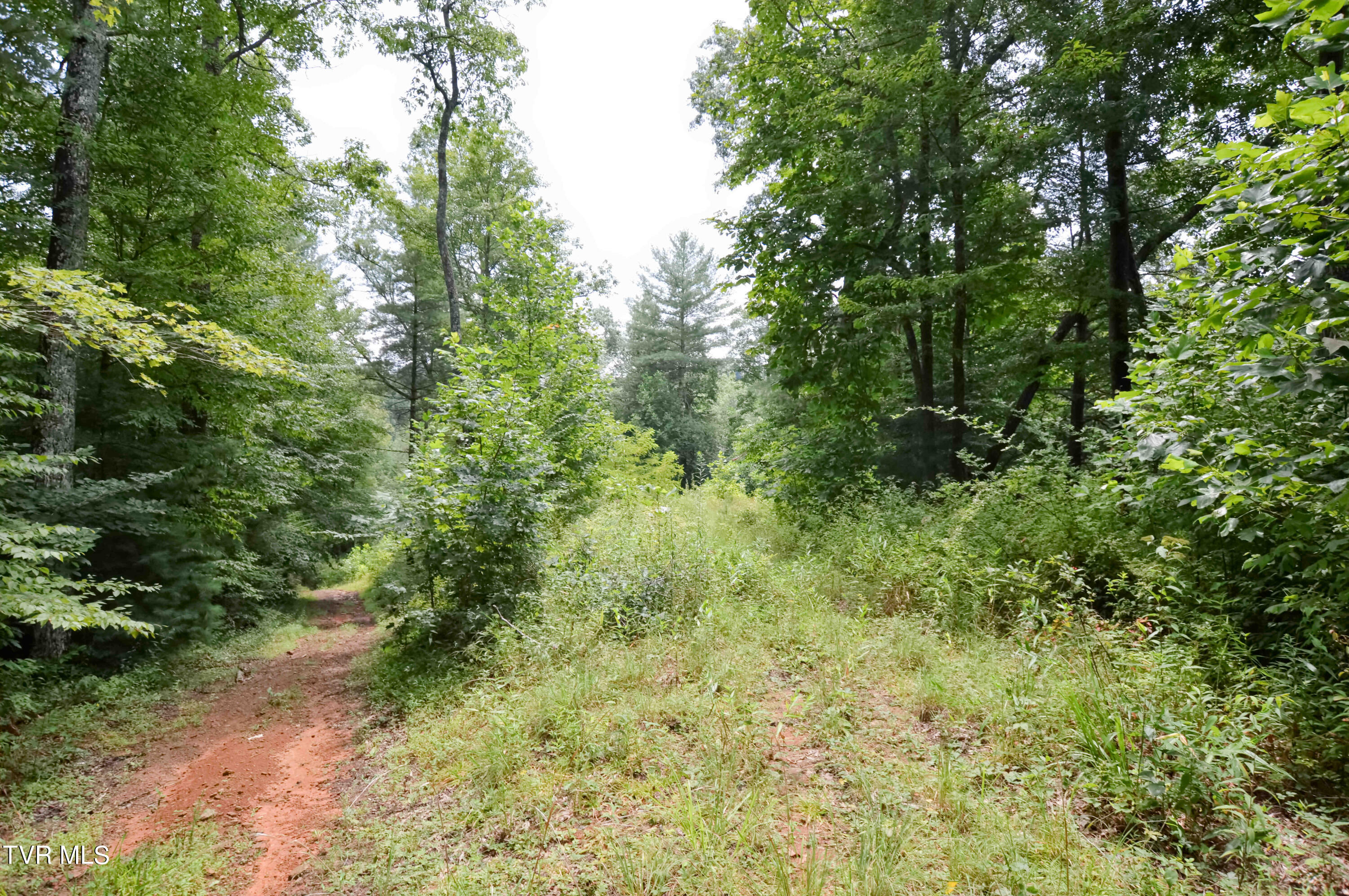 851 Browns Branch Road Hampton, TN 37658 - Photo 25 of 40 851 Browns-25-01