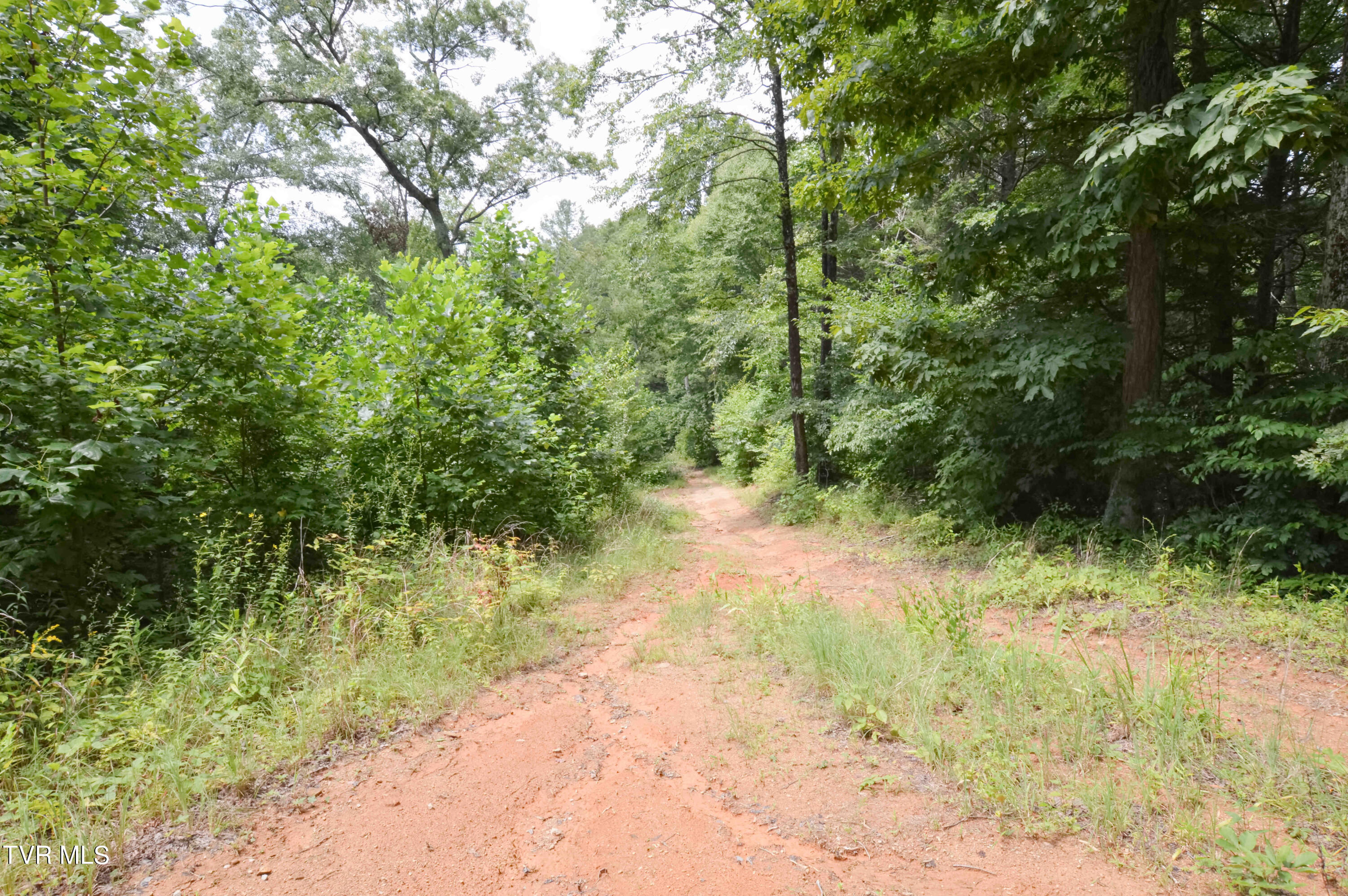 851 Browns Branch Road Hampton, TN 37658 - Photo 26 of 40 851 Browns-26-01
