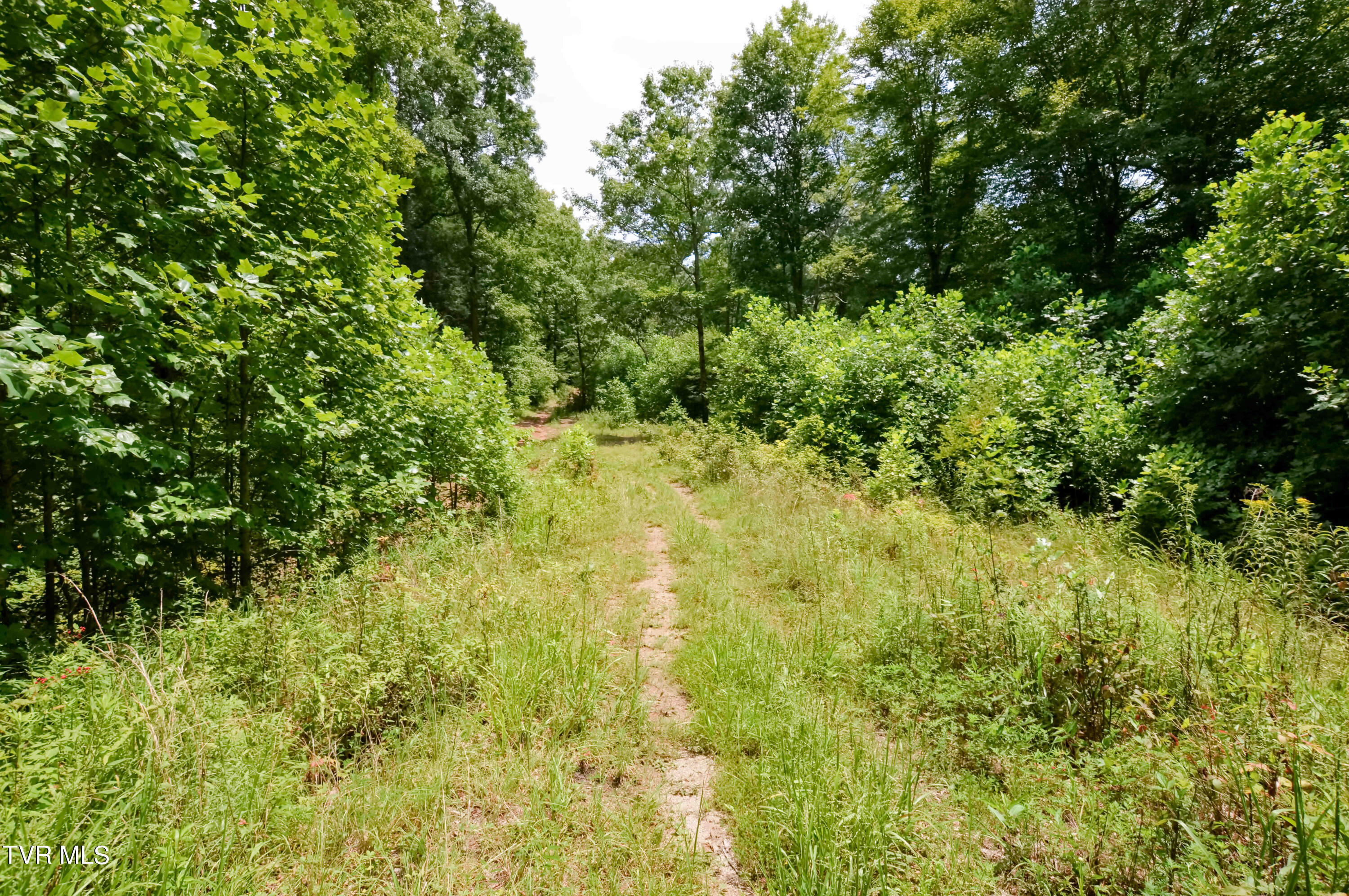 851 Browns Branch Road Hampton, TN 37658 - Photo 28 of 40 851 Browns-28-01