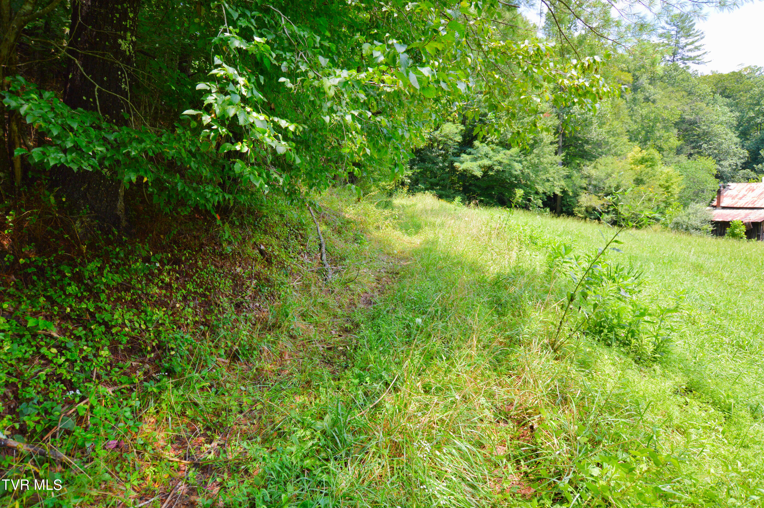 851 Browns Branch Road Hampton, TN 37658 - Photo 3 of 40 851 Browns-1-01
