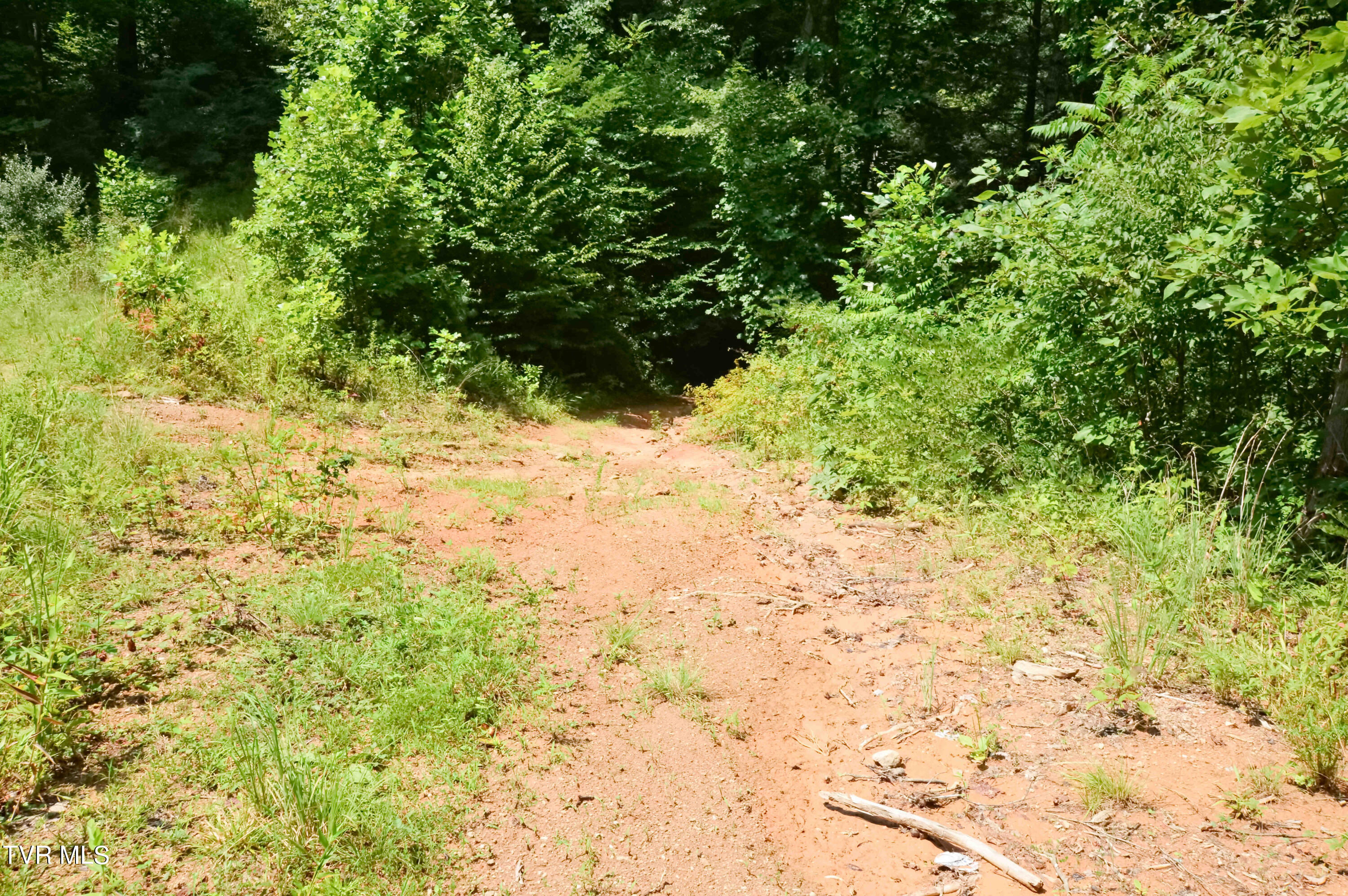 851 Browns Branch Road Hampton, TN 37658 - Photo 34 of 40 851 Browns-35-01