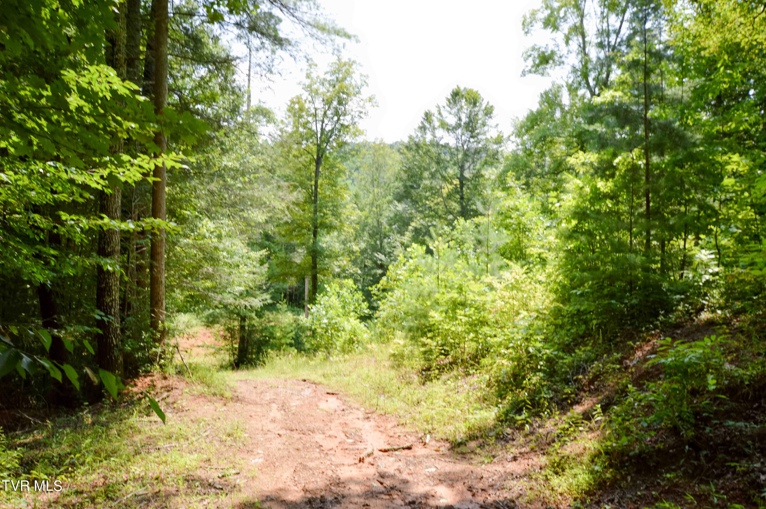 851 Browns Branch Road Hampton, TN 37658 - Photo 35 of 40 851 Browns-36-01