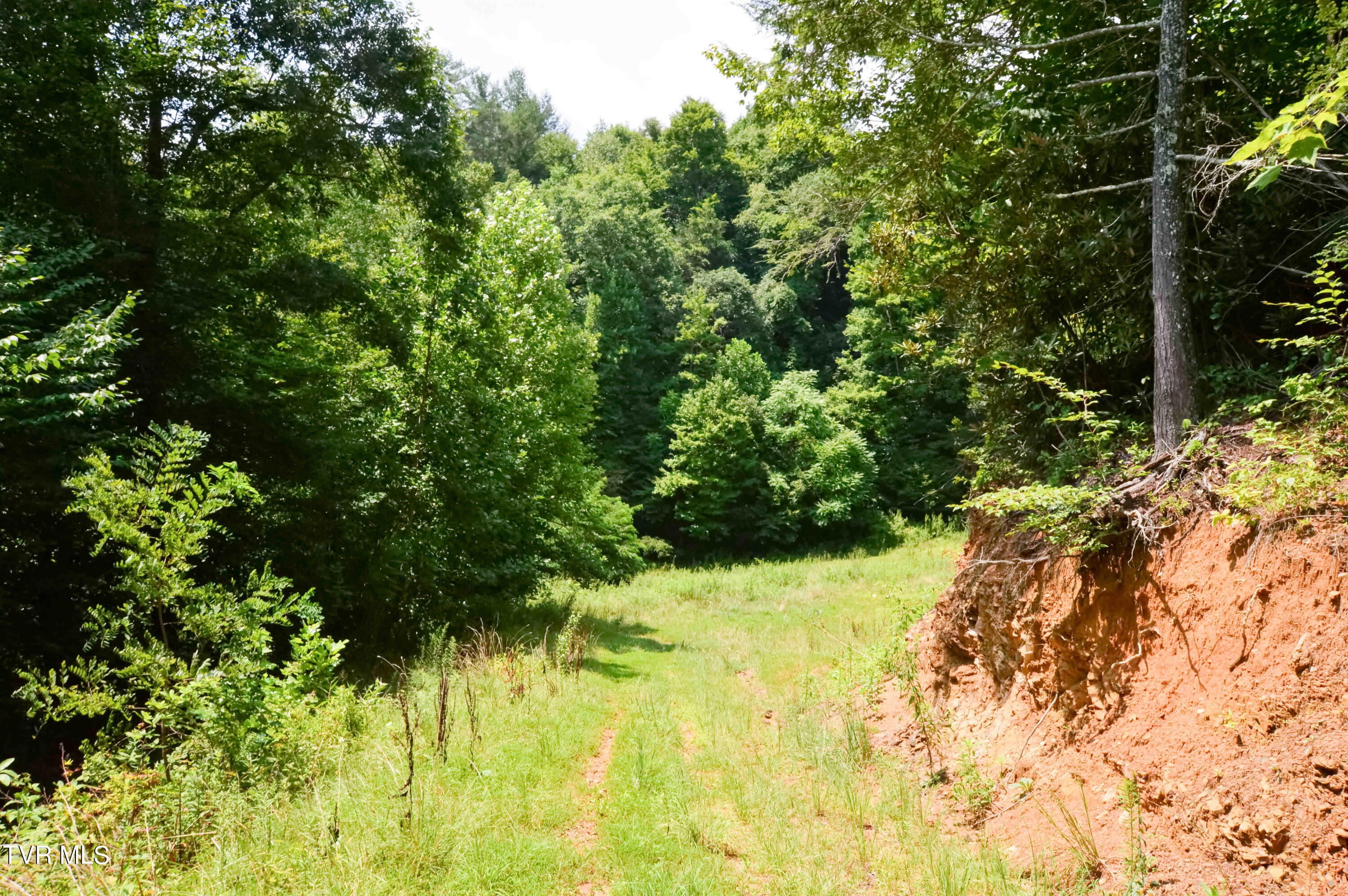 851 Browns Branch Road Hampton, TN 37658 - Photo 36 of 40 851 Browns-37-01