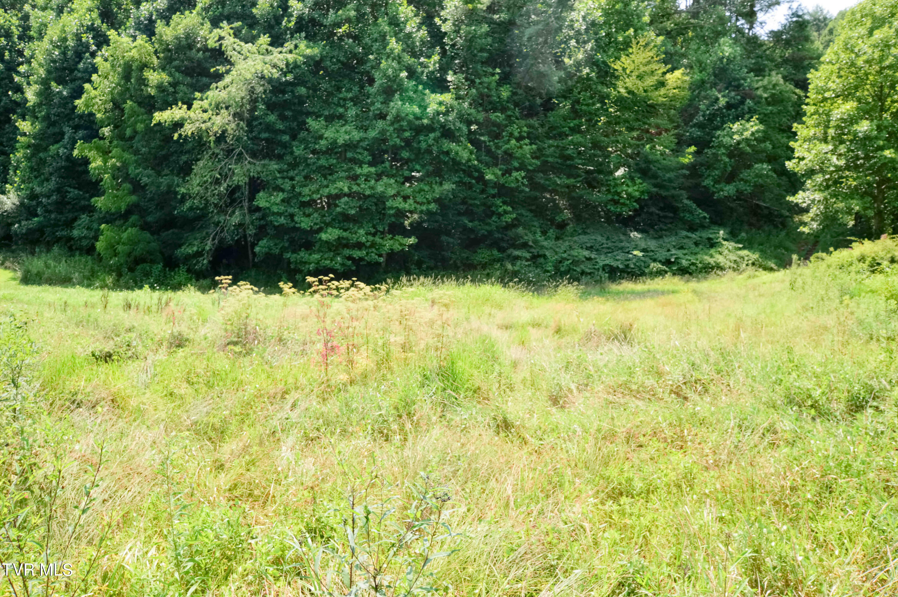 851 Browns Branch Road Hampton, TN 37658 - Photo 37 of 40 851 Browns-39-01