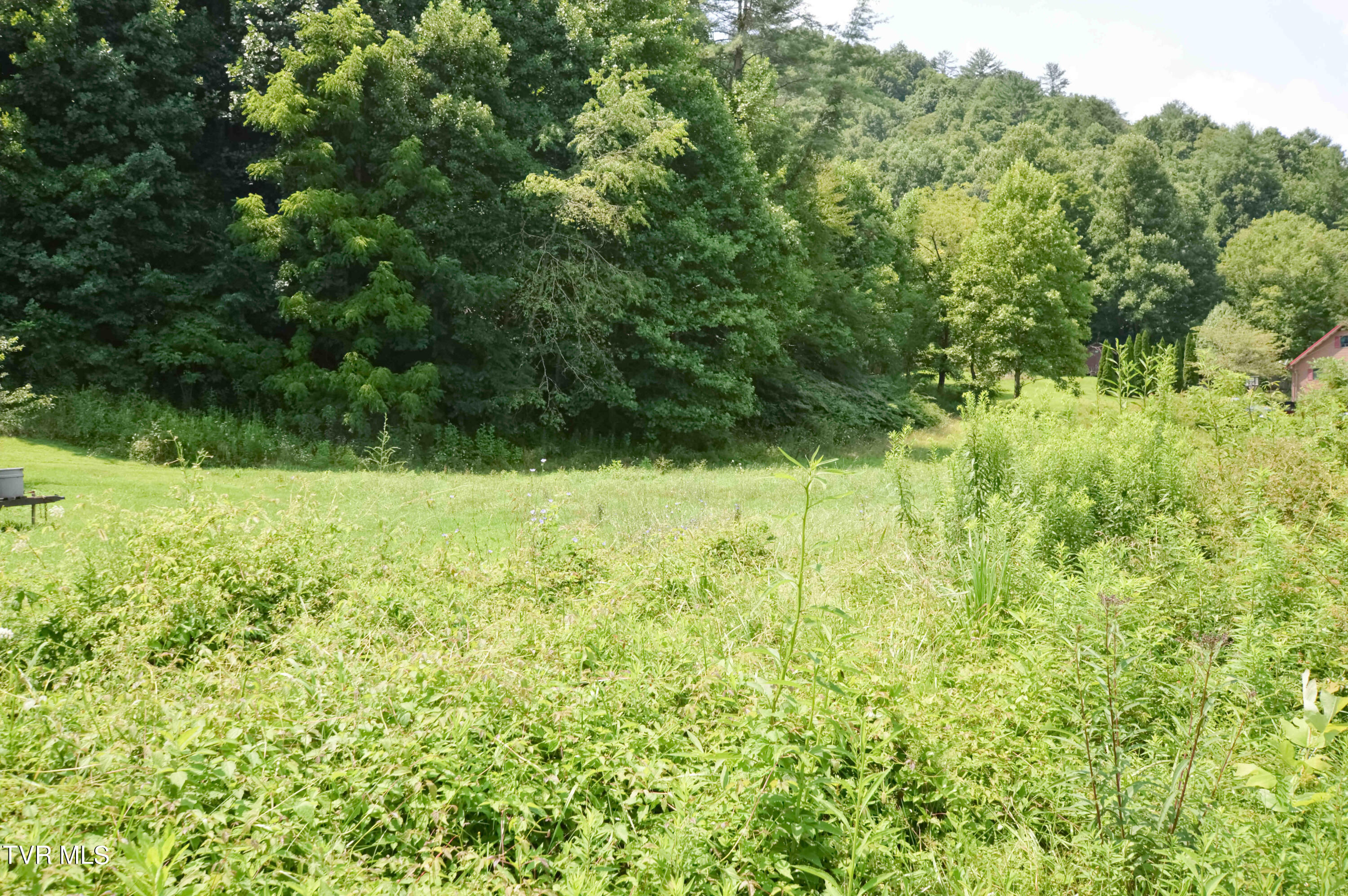 851 Browns Branch Road Hampton, TN 37658 - Photo 38 of 40 851 Browns-41-01