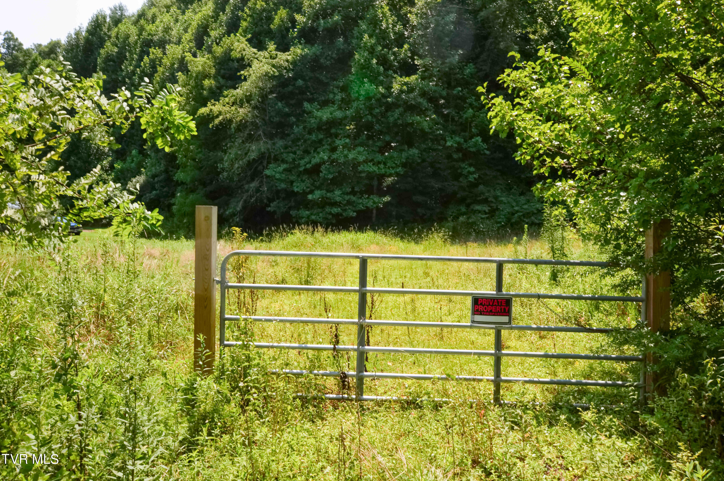 851 Browns Branch Road Hampton, TN 37658 - Photo 40 of 40 851 Browns-43-01
