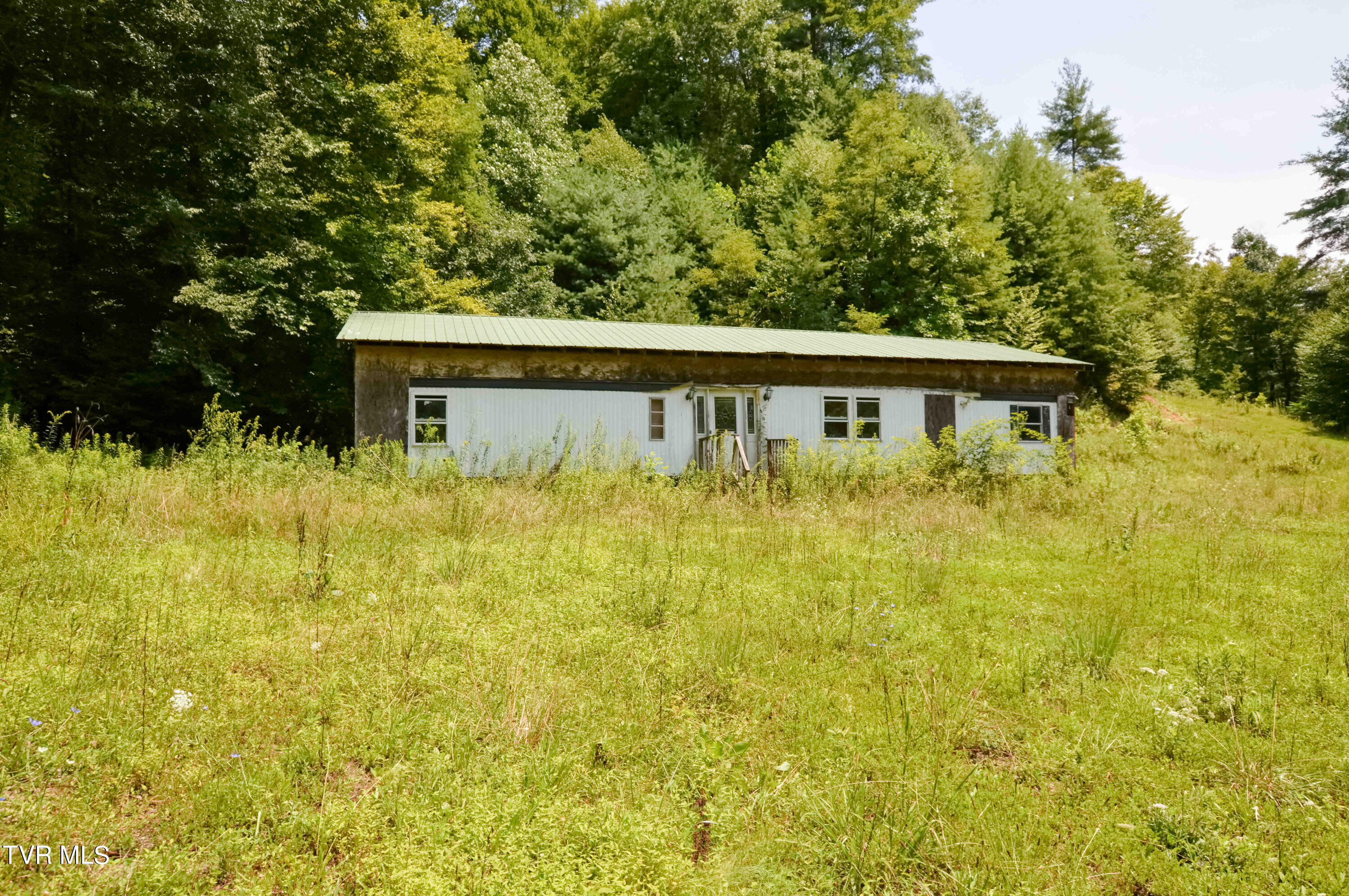 851 Browns Branch Road Hampton, TN 37658 - Photo 4 of 40 851 Browns-4-01