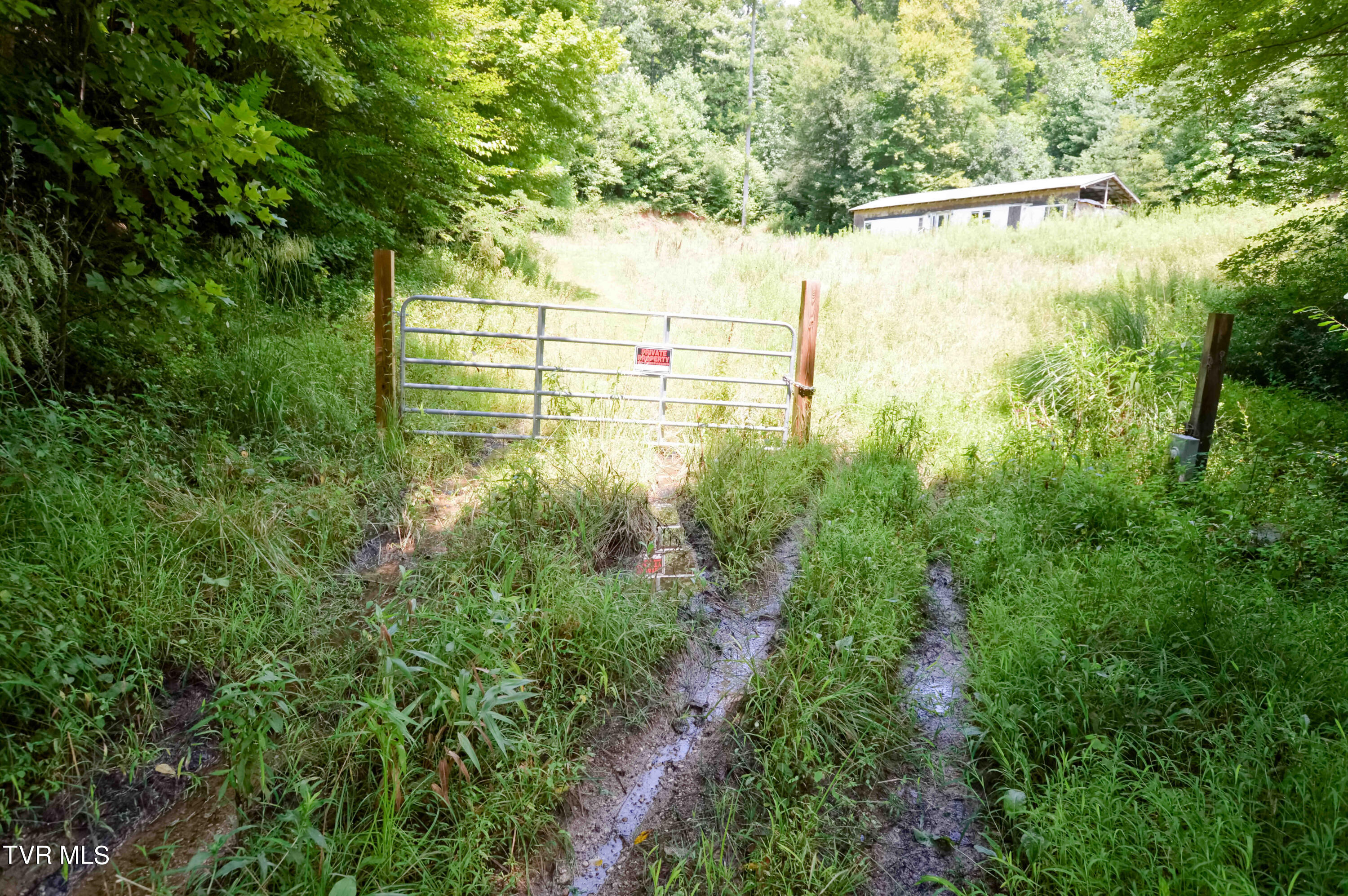 851 Browns Branch Road Hampton, TN 37658 - Photo 5 of 40 851 Browns-3-01